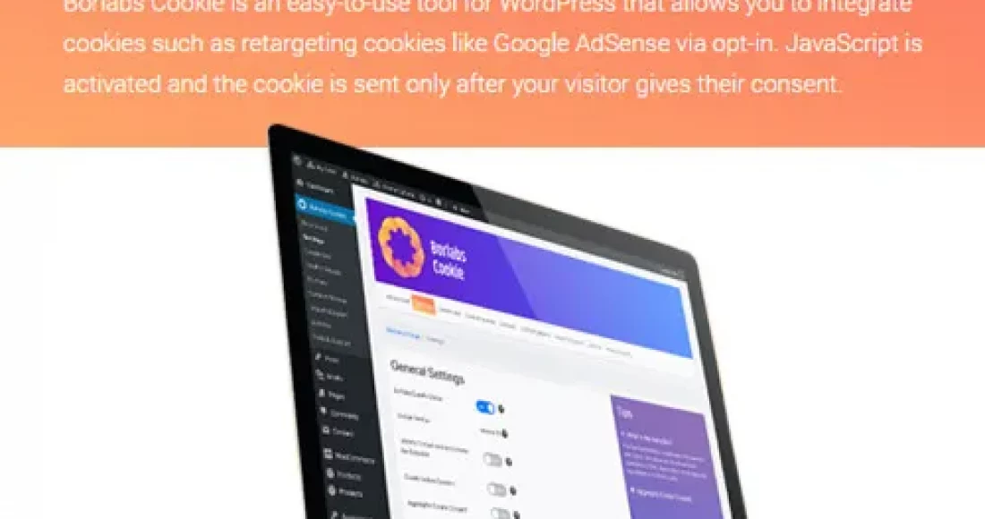 Borlabs-Cookie-Cookie-Opt-in