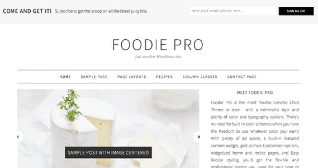 StudioPress Foodie Pro Genesis-theme