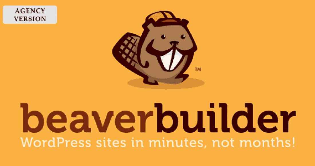 beaver-builder-agency