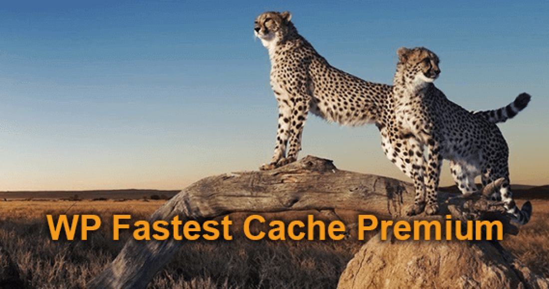 wp-fastest-cache-premium